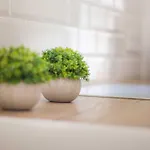 Casa Menta * Bañeres